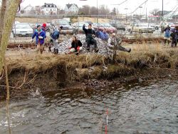 Cobble habitat is tossed into North River to replace storm water sediments on the river bottom. Image