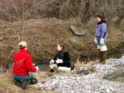 Volunteers work on site with Karen Young (standing) of Salem Sound 2000. Image