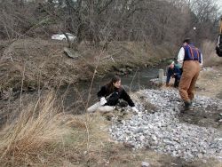 Volunteers place two sizes of rock at the site, large and small cobble. Image