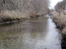 Looking downstream, note the new light colored rocks on the bottom. Image