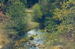 Upper Spring Creek below Stowell but above the influence of Iron Mountain Mine Image