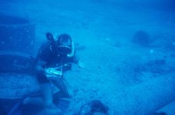 Underwater tape recorders were used to record the number and size of each fish species on a set transect Image