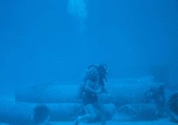 Underwater tape recorders were used to record the number and size of each fish species on a set transect Image