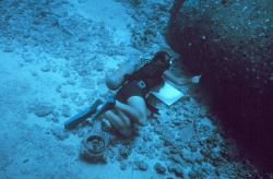 Underwater writing slates were used to record the different species adhering to the top, side and interior roof of pipes over time. Image