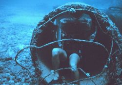 Underwater writing slates were used to record the different species adhering to the top, side and interior roof of pipes over time Image