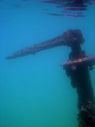 Valve on shipwreck in marine lake at Palau. Image