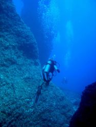 Diving along coral pinnacle structures Image