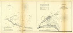 Annual Report 1856 Image
