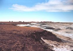 Looking down the shoreline of Tigvariak Island towards the camp Image