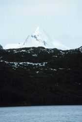 Devils Paw in Frederick Sound area Image