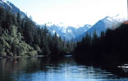 Little Port Walter Image