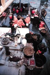 Sablefish longline operations - lines 3/4 miles long with hooks every 15 to 20 feet. Photo