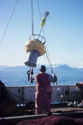 Deploying a small oceanographic buoy off the MILLER FREEMAN Image