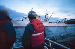 Departing from the MILLER FREEMAN Image