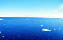 Drifting bits of sea ice Image