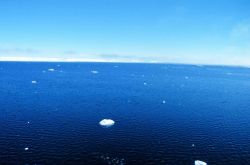 Drifting bits of sea ice Image