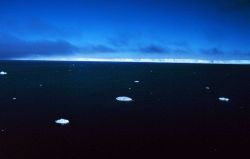 Drifting bits of sea ice Image