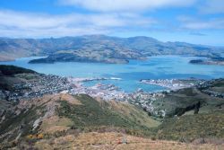 Lyttleton Harbor, New Zealand Image