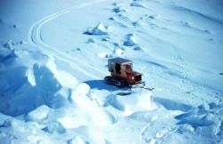 View of a weasel from the top of a pressure ridge out on the Beaufort Sea Image