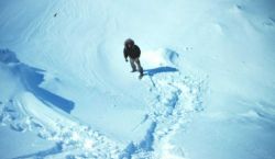 Looking down from the top of a pressure ridge Image