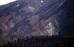 Closeup of mosaic burn pattern on Bunsen Peak Image