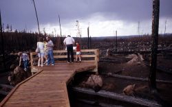 Visitors at roadside fire exhibit Image