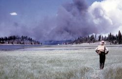 Fire fighter packing in Image