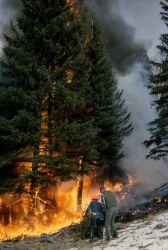 Firefighters at prescribed burn Image