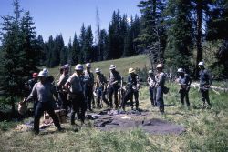 Crew at tool rack in the Buffalo fire camp Image