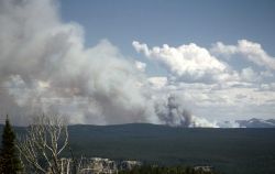 Forest fire on Mirror Plateau Image