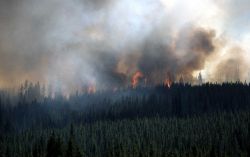 Continental Divide fire Image