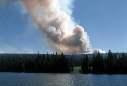 Continental Divide fire Image