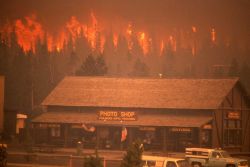 Crown fire (flame & smoke) approaching Old Faithful Photo shop & Snow Lodge Image