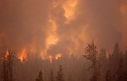 Crown fire with dense smoke Image