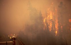 Crown fire & dense smoke at Grant Village campground bridge Image