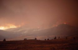 Fire on Buffalo Plateau Image