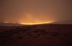 Wind driven sage (ground) fire on Blacktail Plateau Image