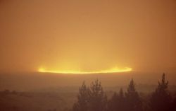 Wind driven sage (ground) fire on Blacktail Plateau Image