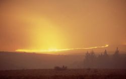 Wind driven sage (ground) fire on Blacktail Plateau Image