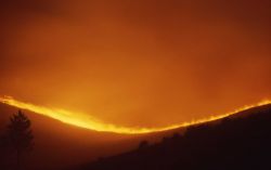 Wind driven sage (ground) fire on Blacktail Plateau at night Image