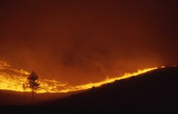 Wind driven sage (ground) fire on Blacktail Plateau at night Image