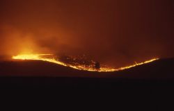 Wind driven sage (ground) fire on Blacktail Plateau at night Image