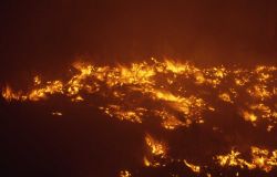 Close up of nighttime sage (ground) fire near Antelope Creek Image