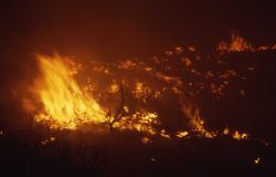 Close up of nighttime sage (ground) fire near Antelope Creek Image