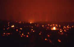 Embers of fire glowing near Antelope Creek - Ground fire Image