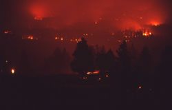 Embers of fire glowing near Antelope Creek - Ground fire Image