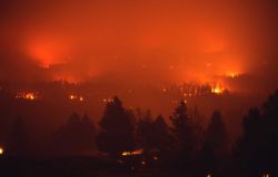 Embers of fire glowing near Antelope Creek - Ground fire Image