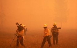 Film crew carrying equipment in dense smoke - media Image