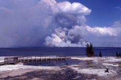 Very tall, dark smoke plume from Shoshone fire with Yellowstone Lake in foreground Image