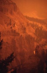 Yellow smokey haze in Yellowstone Canyon near Tower Image